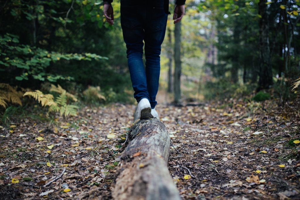 wood, log, walking